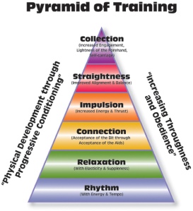Training Pyramid